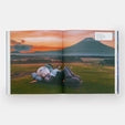 Load image into Gallery viewer, KAWS by Dan Nadel Paperback Book