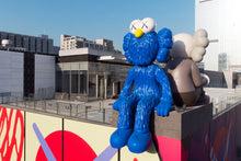 Load image into Gallery viewer, KAWS Seeing/WatchingPlush