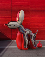 Load image into Gallery viewer, WHATSHISNAME x Jason Freeny Mighty Jaxx Dissected Popek Figure red