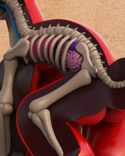 Load image into Gallery viewer, WHATSHISNAME x Jason Freeny Mighty Jaxx Dissected Popek Figure red