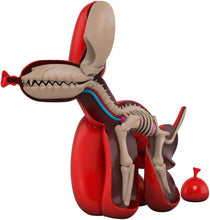 Load image into Gallery viewer, WHATSHISNAME x Jason Freeny Mighty Jaxx Dissected Popek Figure red