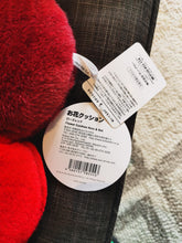 Load image into Gallery viewer, Takashi Murakami flower pillow cushion Red - Designstoresyd