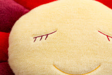 Load image into Gallery viewer, Takashi Murakami flower pillow cushion Red - Designstoresyd