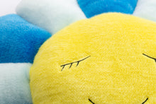 Load image into Gallery viewer, Designer pillows