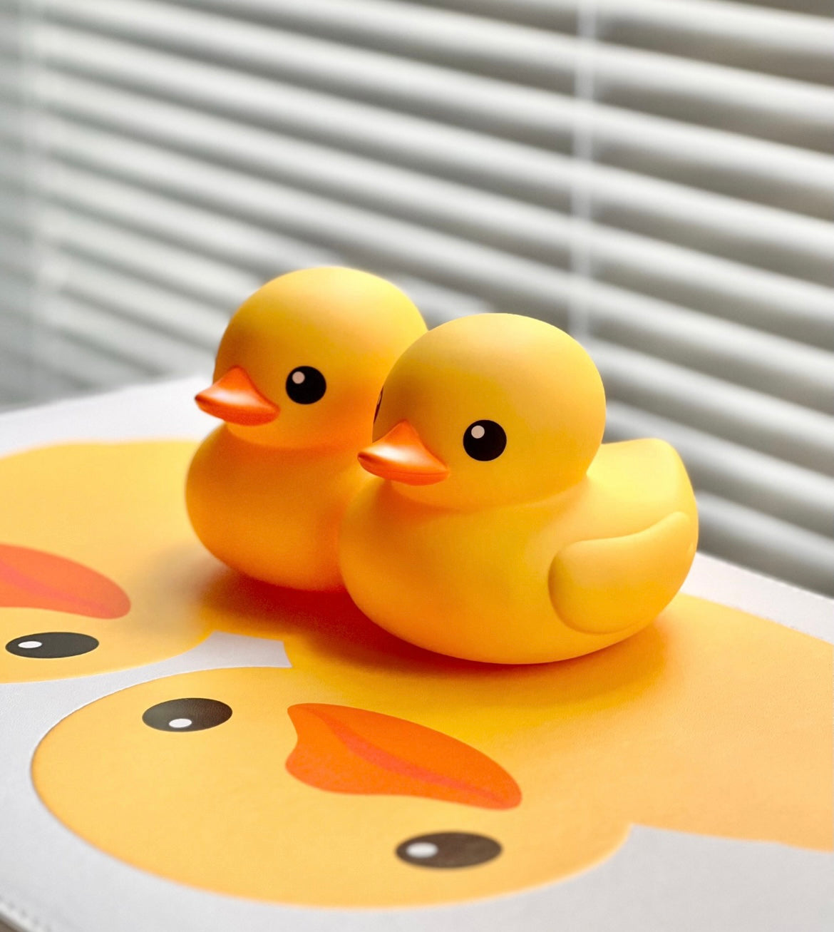 DOUBLE DUCKS