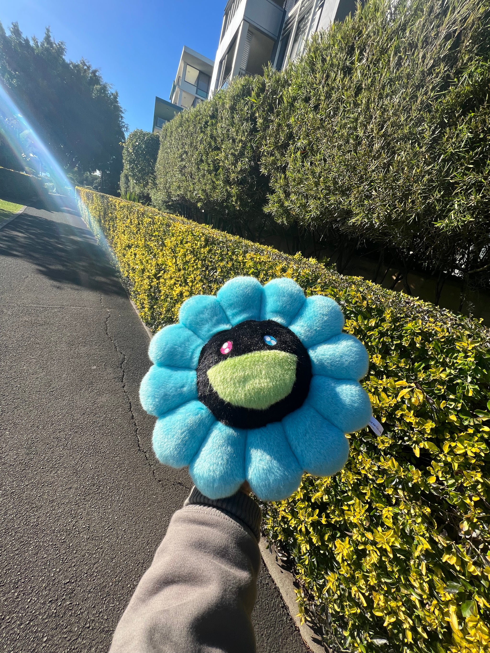 Takashi Murakami Flower Plush Turquoise/Black – Designstoresyd