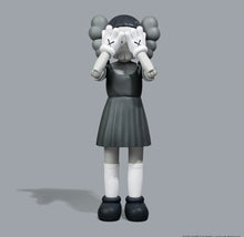 Load image into Gallery viewer, Pre-order KAWS x Squid Game figure
