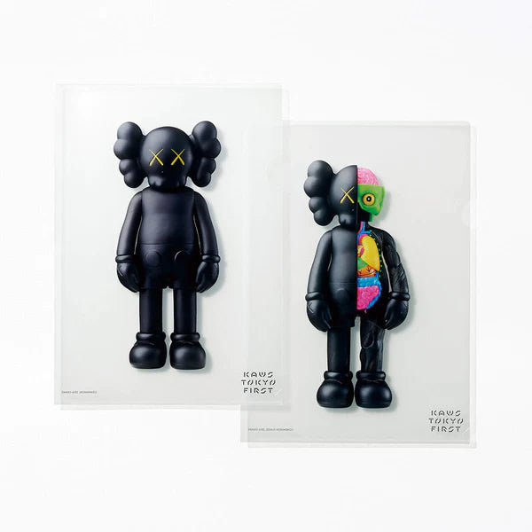 authentic KAWS Tokyo First Clear File Companion & Flayed Companion
