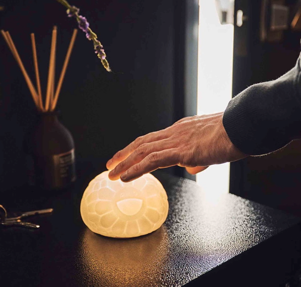 Takashi Murakami Flower Room Light – Designstoresyd